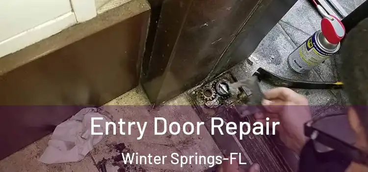 Entry Door Repair Winter Springs-FL