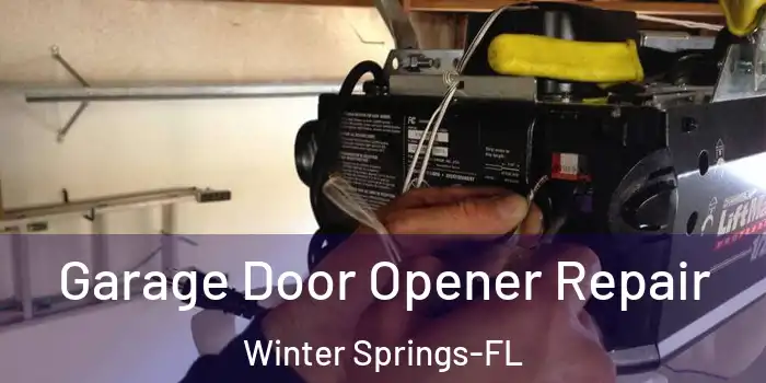 Garage Door Opener Repair Winter Springs-FL