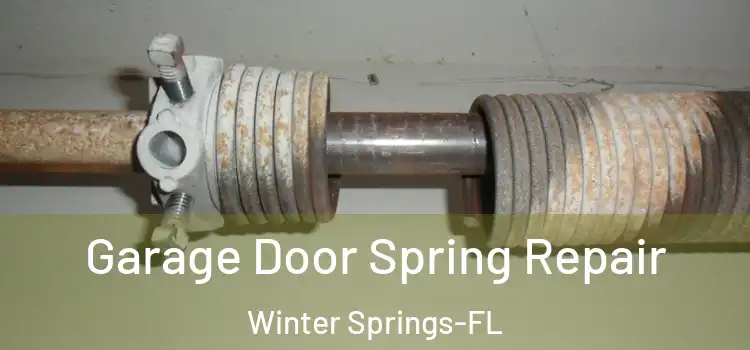  Garage Door Spring Repair Winter Springs-FL