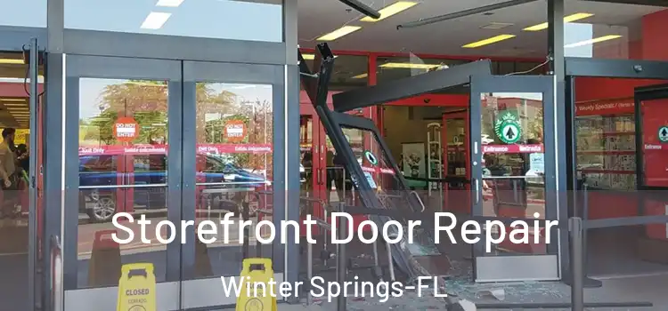 Storefront Door Repair Winter Springs-FL