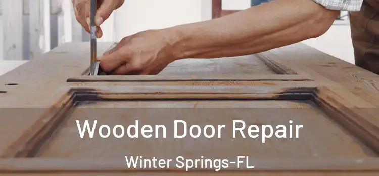 Wooden Door Repair Winter Springs-FL